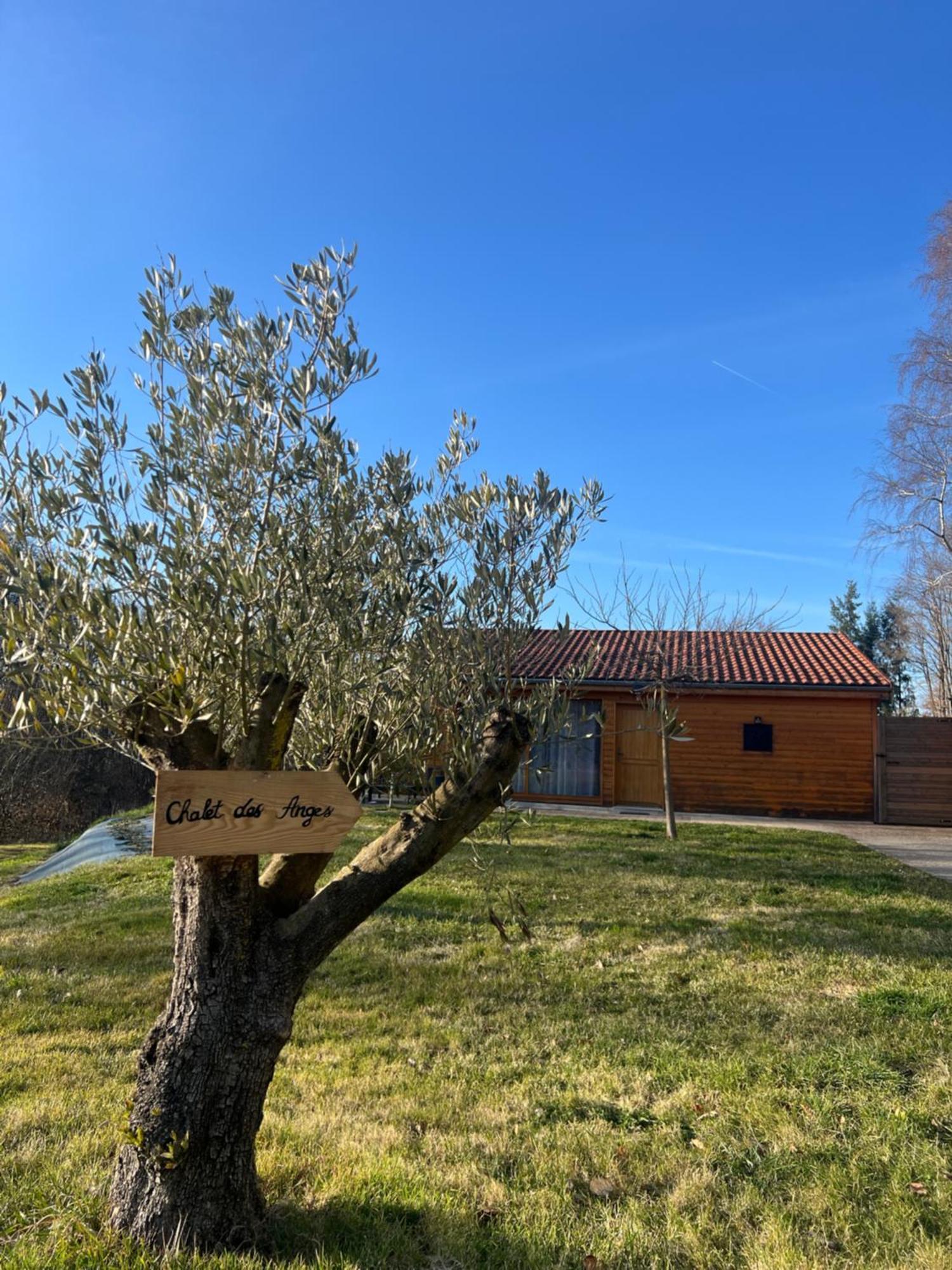 Chalet Des Anges Youx Dış mekan fotoğraf